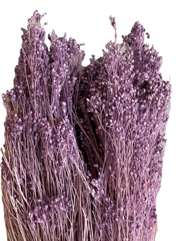 Dry lavender broom