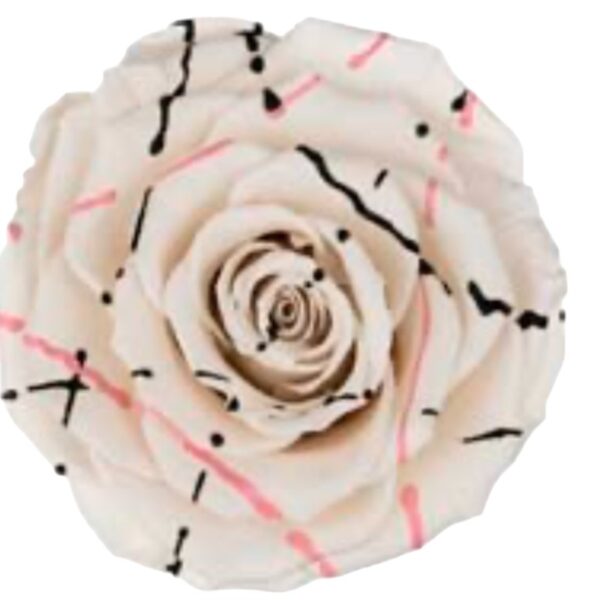 Preserved roses festiva white Roseamor