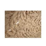 Preserved fern Felcioni white color - Image 3