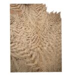Preserved fern Felcioni white color - Image 2