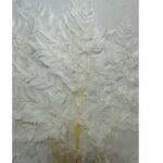 Preserved white Cuero fern