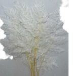 Preserved white Cuero fern - Image 2