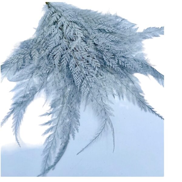 Preserved short Lace Fern grey - Image 2