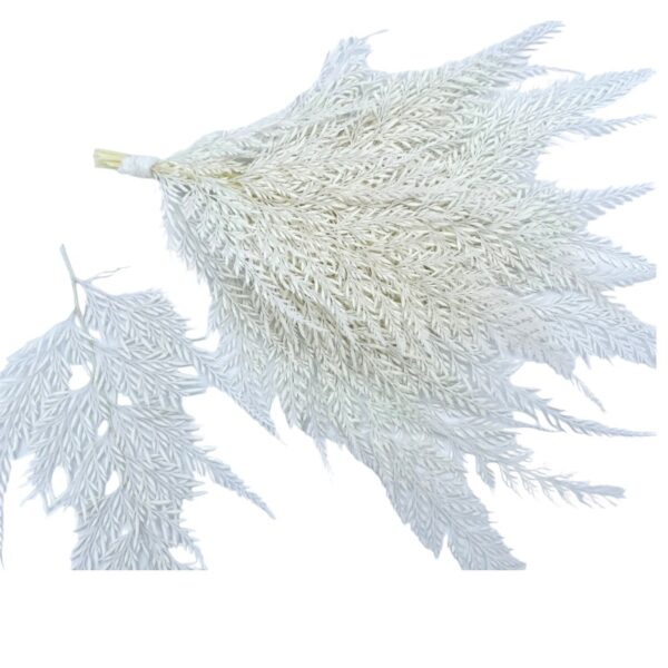 Preserved short Lace Fern white - Image 2