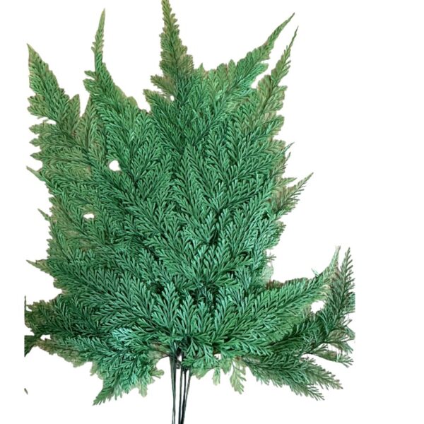 Preserved Tabalia fern green