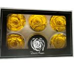 Preserved roses festiva yellow - Image 4