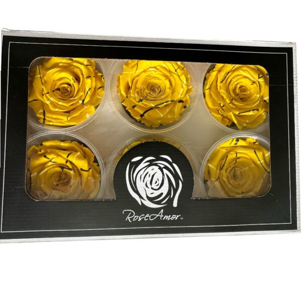 Preserved roses festiva yellow - Image 4