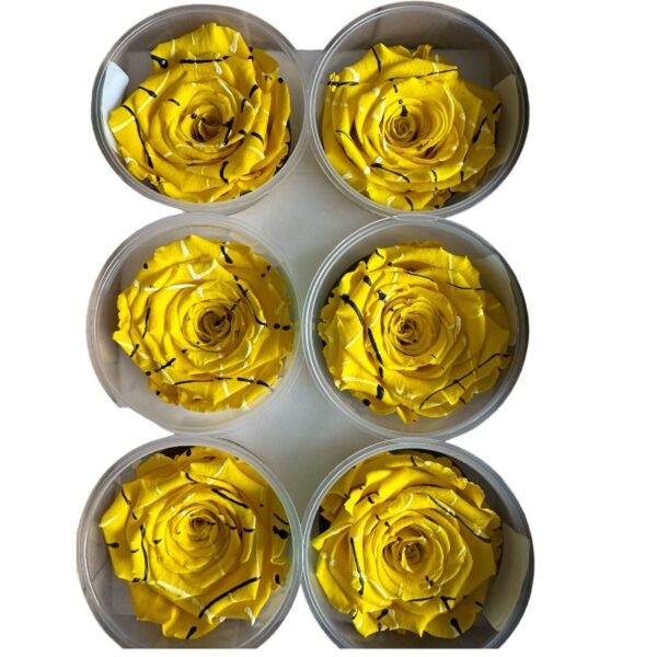Preserved roses festiva yellow - Image 3