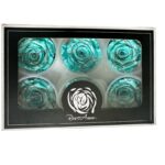 Preserved roses festiva blue - Image 4