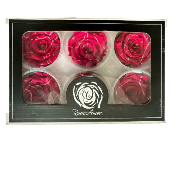 Preserved roses festiva red - Image 4