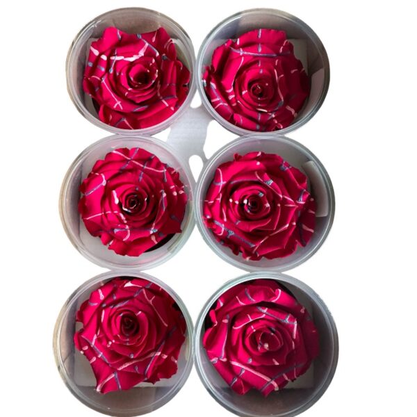 Preserved roses festiva red - Image 3