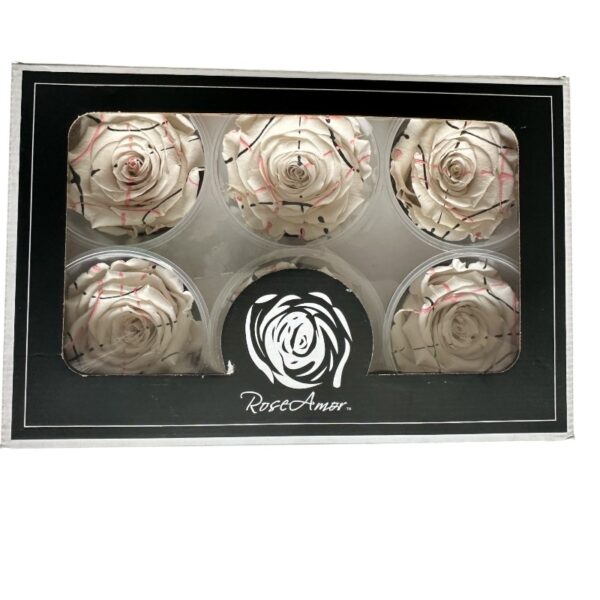 Preserved roses festiva white - Image 4