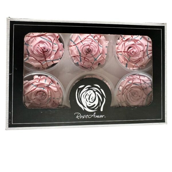 Preserved roses festiva light/pink - Image 4