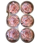 Preserved roses festiva light/pink - Image 3