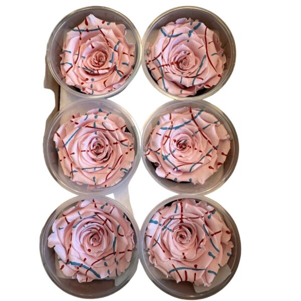 Preserved roses festiva light/pink - Image 3