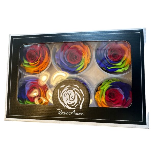 Preserved roses rainbow - Image 3