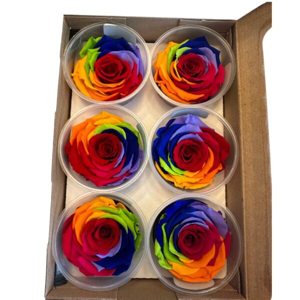 Preserved roses rainbow - Image 4