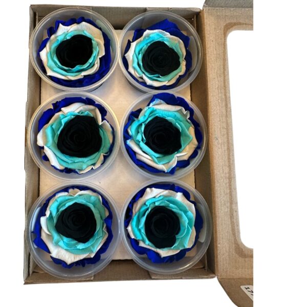 Preserved roses evil eye - Image 4
