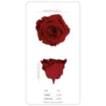 Preserved roses metallic gold - Image 4