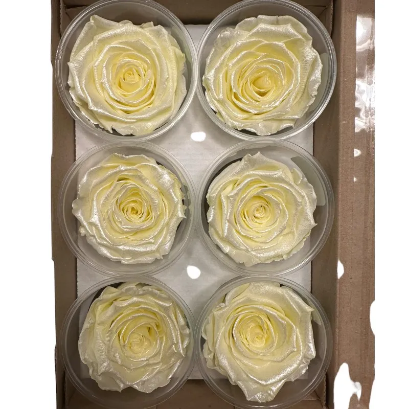 Preserved roses satin yellow - Image 3