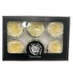 Preserved roses satin yellow - Image 2