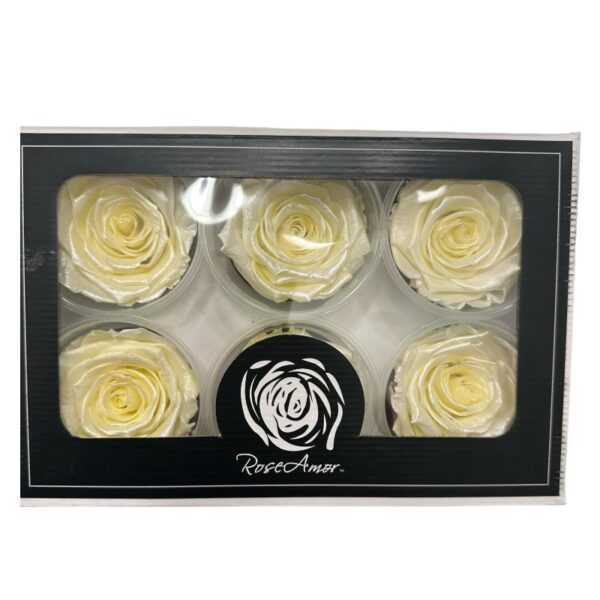 Preserved roses satin yellow - Image 2