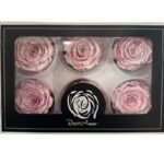 Preserved roses satin pink - Image 3