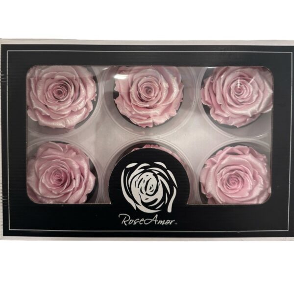 Preserved roses satin pink - Image 3