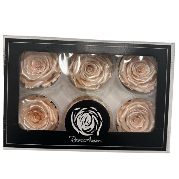 Preserved, box of 6 roses, LL+,SATIN PEACH 01 - Image 2