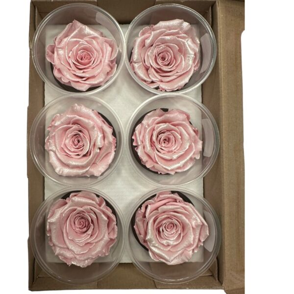 Preserved roses satin pink - Image 2