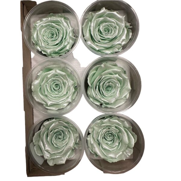 Preserved roses satin green - Image 2