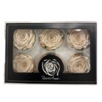 Preserved roses satin beige - Image 2
