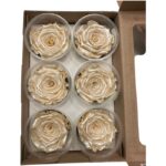Preserved roses satin beige - Image 3
