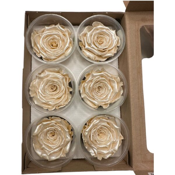 Preserved roses satin beige - Image 3