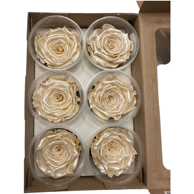 Preserved roses satin beige - Image 3