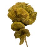 Dry Sponge Mushrooms green stemmed - Image 4