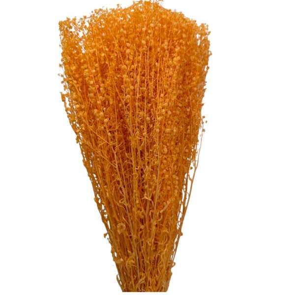 Dry orange feston - Image 2