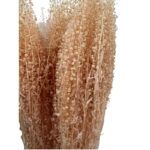 Dry pink feston