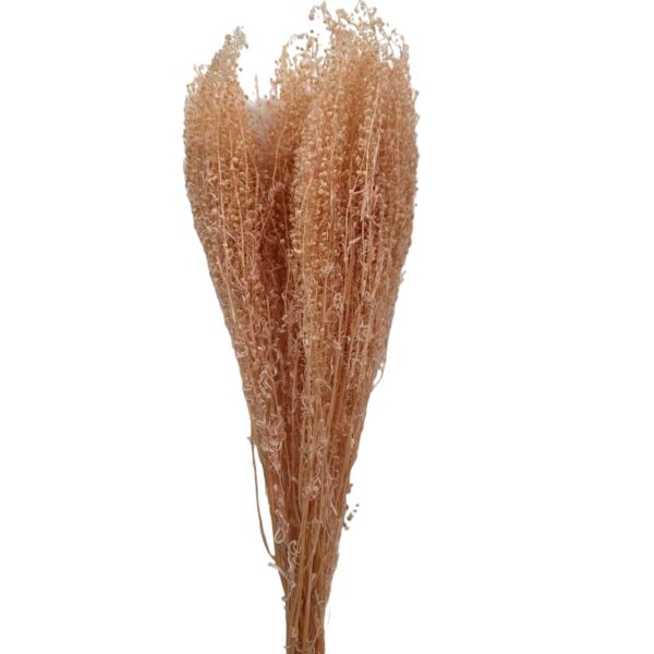 Dry pink feston - Image 2