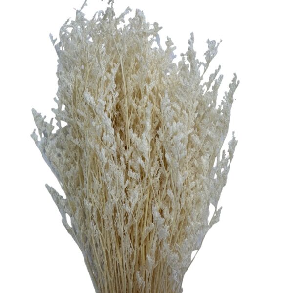 Dry white caspia