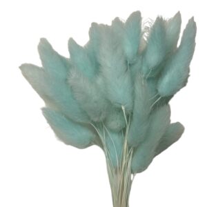 Dry baby blue Lagurus