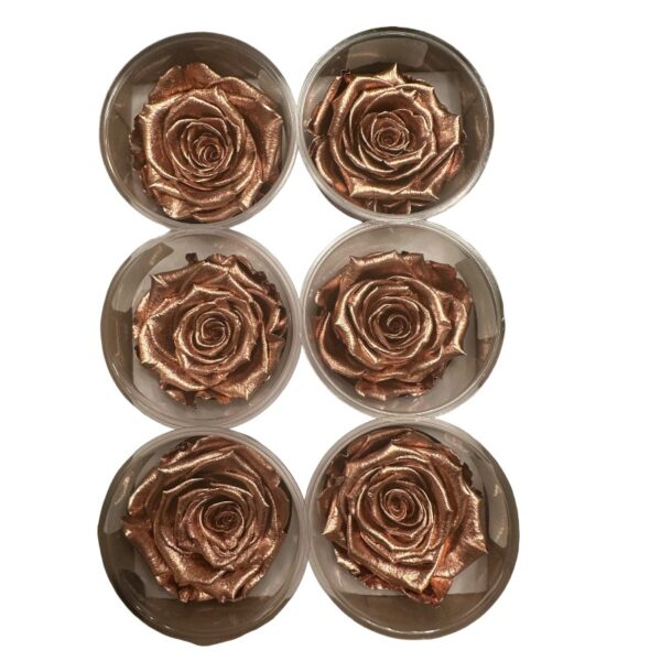 Preserved roses metallic copper - Image 3