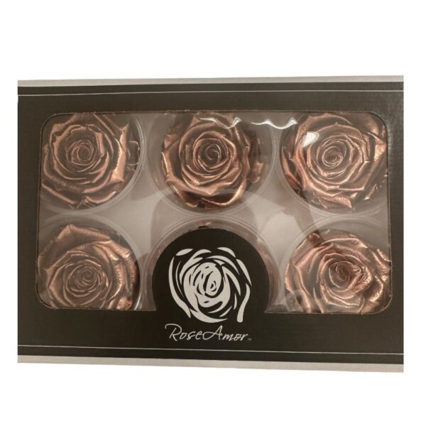 Preserved roses metallic copper - Image 2