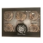 Preserved roses metallic gold - Image 2