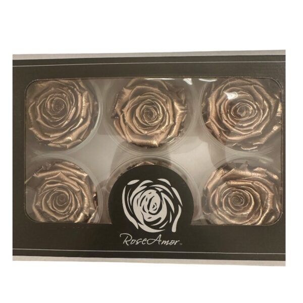 Preserved roses metallic gold - Image 2