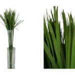 Preserved green cyperus papiro