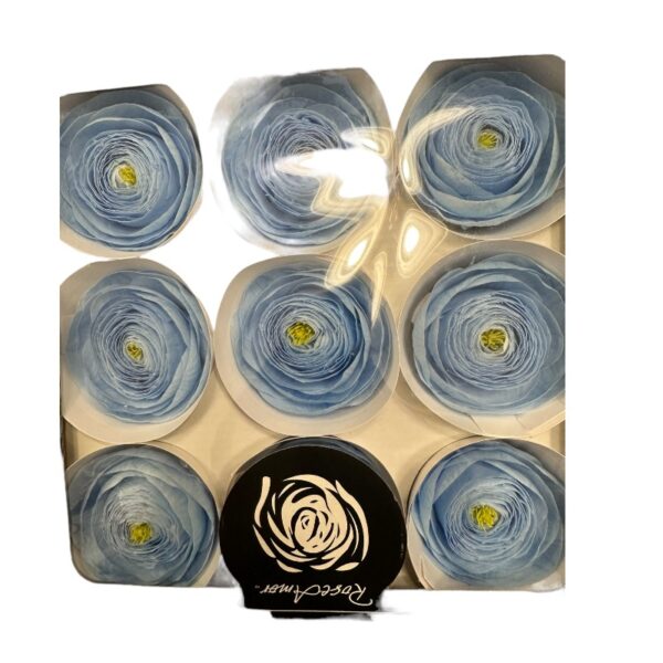 Preserved, Ranunculus 9 box, blue 89 - Image 2