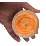 Preserved, Ranunculus 9 box, peach 99
