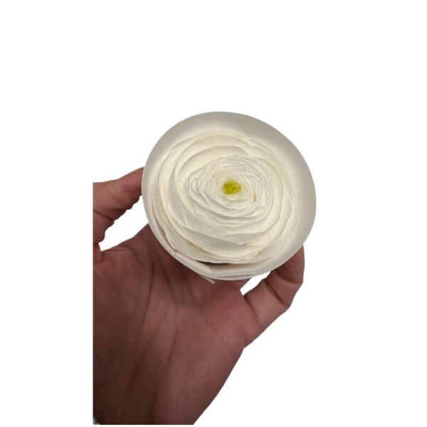 Preserved, Ranunculus 9 box, white 01 - Image 3