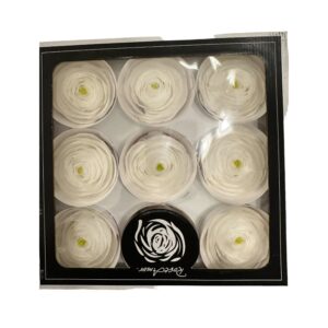 Preserved, Ranunculus 9 box, white 01 - Preservedusa